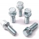 Wheel Bolts 