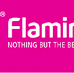 Flamingo Dashboard Polish STRAWBERRY 220Ml